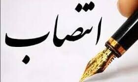 مدیرعامل جدید بنیاد علوی منصوب شد